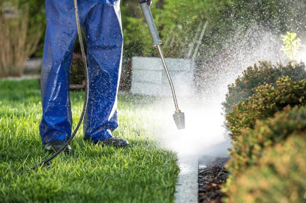 Cost of Curb Cleaning in Austin