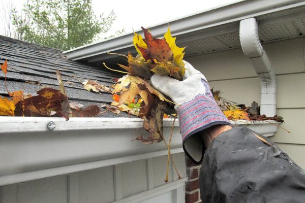 Cost of Eaves Cleaning in Austin