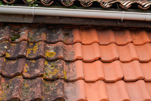 Cost of Industrial Roof Cleaning in Austin